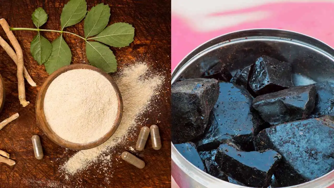 how to boost testosterone with ashwagandha and shilajit