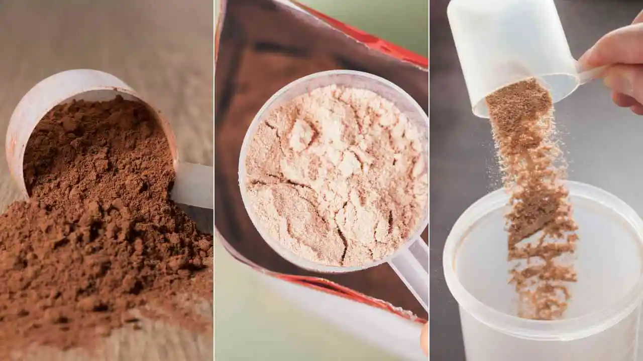 whey protein powder types